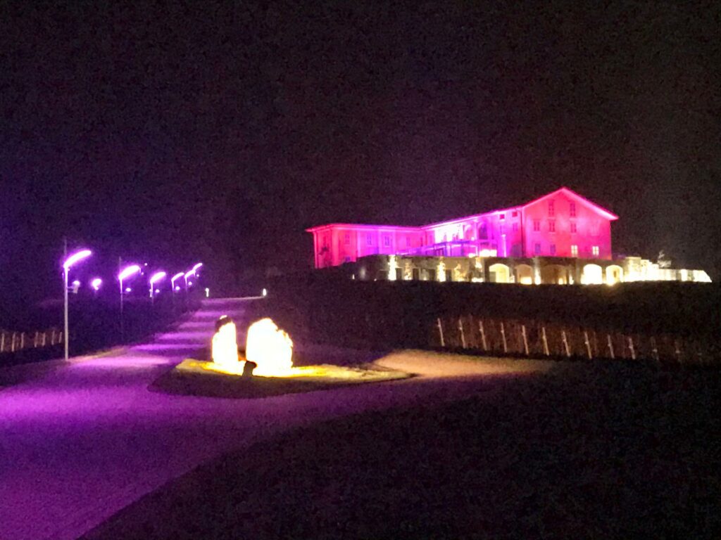 maxvh-enosis-fubine-monferrato-fari-a-led Illuminazione fissa Enosis Meraviglia Fubine Monferrato MaxVH