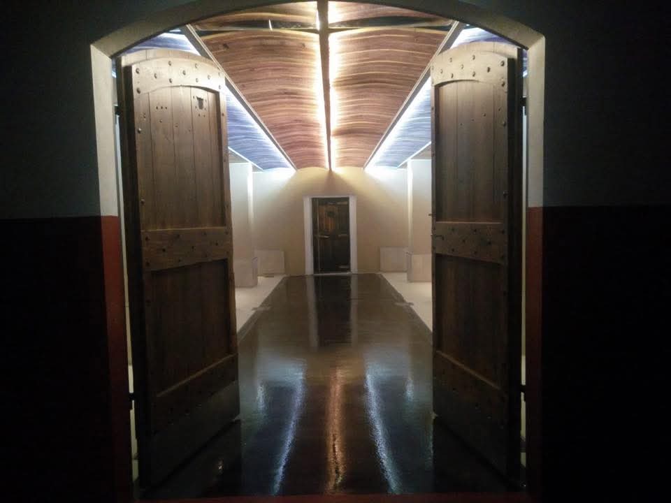 Illuminazione e Impianto-Cantina Alice Bel Colle