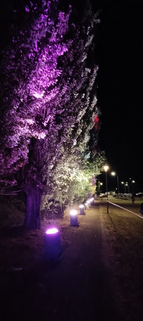 fari xenon per illuminazione parco maxvh